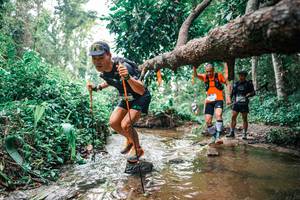 BIB: 
                            <button type="button" onclick="openModal(25368722)" class="btn btn-primary btn-sm float-right btn-popup" data-toggle="modal" data-target=".modal-high-quality">
                        <i class="fas fa-shopping-cart"></i> Add to Cart
                    </button>
                                            <button type="button" onclick="isThisMe(25368722, true)" class="btn btn-success btn-sm float-right btn-popup btn-isme hidden" data-toggle="tooltip" data-placement="bottom" title="นี่คือรูปของคุณใช่ไหม คลิกที่นี่เพื่อเอาเข้าอัลบั้ม">
                        <i class="fas fa-plus"></i> Add to album
                    </button>
                    <button type="button" onclick="isThisMe(25368722, false)" class="btn btn-warning btn-sm float-right btn-popup btn-isnotme hidden">
                        <i class="fas fa-ban"></i> Remove from album
                    </button>